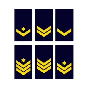 דרגות נגדי חיל האויר